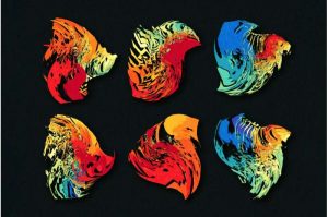 An 'oracle' for predicting the evolution of gene regulation